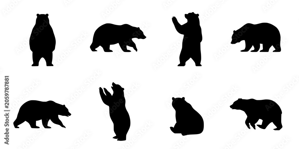 Fototapeta premium Bears in Various Poses as Black Silhouettes Against a White Background Featuring Animal, Wildlife, Nature with Standing and Sitting Elements