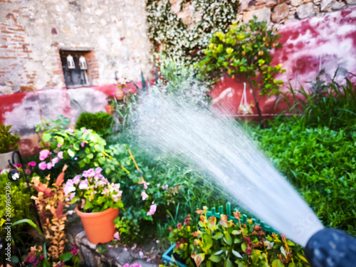 Watering Plants in a Beautiful Rustic Garden with Hose Nozzle