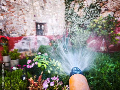 Watering Plants in a Beautiful Rustic Garden with Hose Nozzle