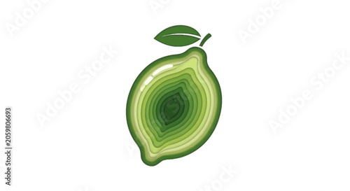 Green lime fruit with internal topographic paper cut layers