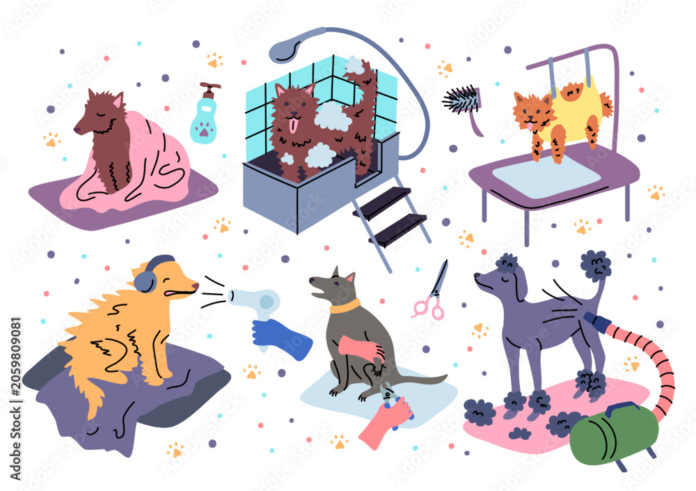 Fototapeta premium Cartoon Color Dog Beauty Grooming Salon Scenes Set Pet Concept Flat Design with Elements Hand Drawn Doodle Style. Vector illustration
