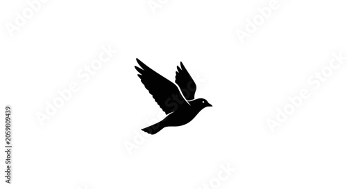 Silhouette of a bird in flight against a clean white backdrop, elegant graphic design
