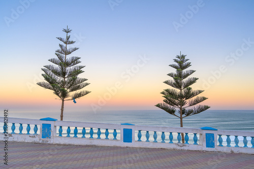 Two Pine Trees on the Atlantic Promenade at Sunrise in Sidi Ifni - Morocco
