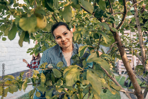 Cuadro en lienzo portrait of a woman tending an apple tree in a private backyard garden surrounded by green foliage and ripening fruit