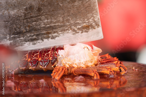 Fotografie Kitchen knife preparing hairy crab body on wooden cutting board