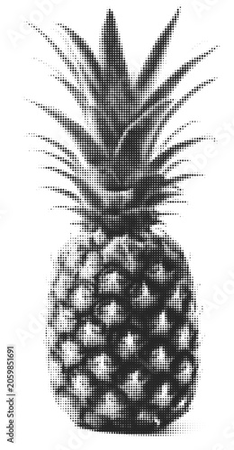 Collage Pineapple