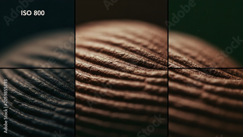 Close-up view of textured surface with detailed patterns and lines
