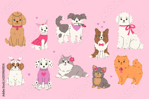 Fotografie A set of cute dogs of different breeds. Vector graphics.