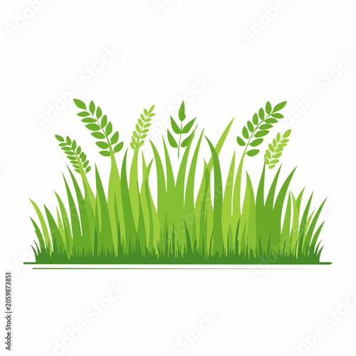 Green Grass and Leaves Illustration