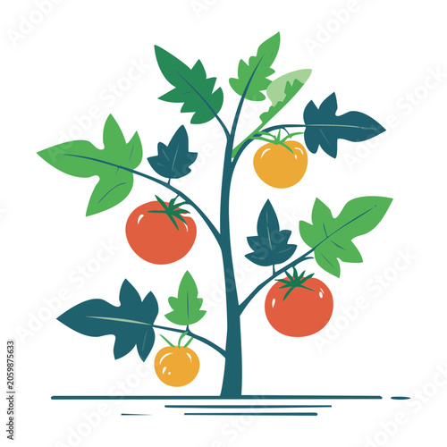 Flat design illustration of a tomato plant with fruits