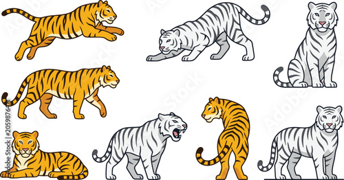 Photography Bengal and White Tiger Vector Character Set with Running, Prowling, Roaring, and