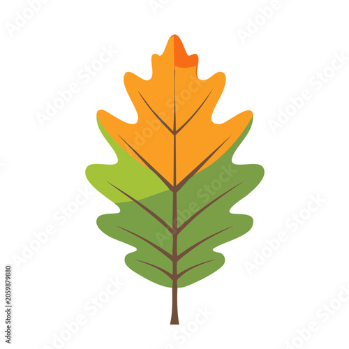Colorful Oak Leaf Illustration