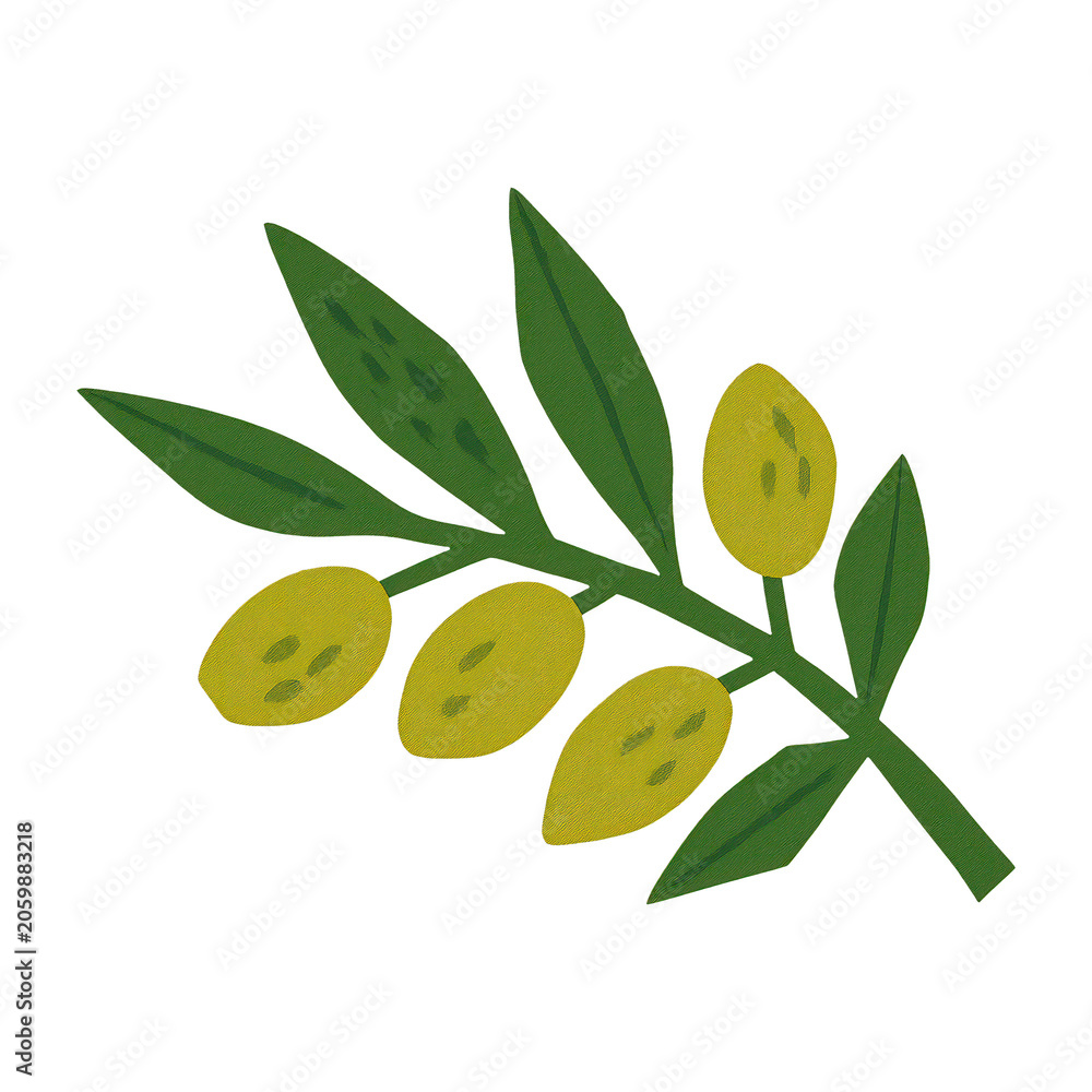 Obraz premium PNG Vibrant olive branch illustration