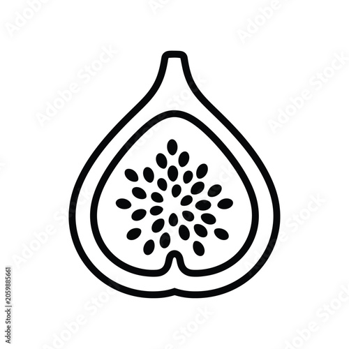 Fig cross section appears as a simple black and white line art graphic.