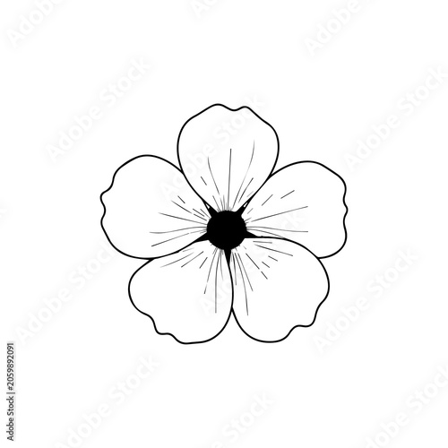 Simple five petal flower outline, black and white floral drawing, white