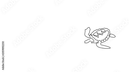 Animated self drawing of continuous line draw of   sea turtles in continuous line. Logo. Full length one line animation. 4K	