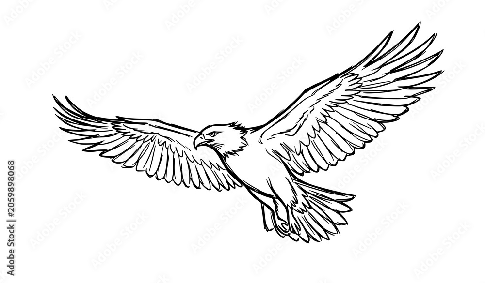 Fototapeta premium Contemporary soaring bird silhouette vector abstract hand drawn freedom line art illustration