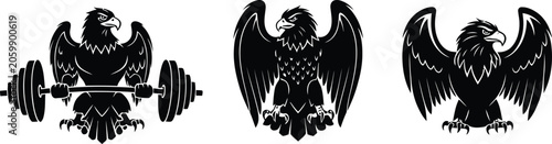 Eagle mascot set strength power and freedom vector illustrations