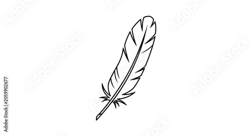 Minimalist line art of a single bird feather