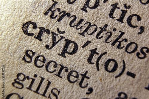 Fotografía Word crypto on dictionary page, macro close up