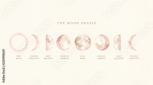 Illustration of the moon phases showing new moon, waxing crescent, first quarter, waxing gibbous, full moon, waning gibbous, last quarter, and waning crescent on a light background