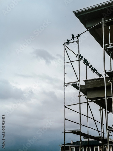 Silhouette of birds sitting on construction scaffolding