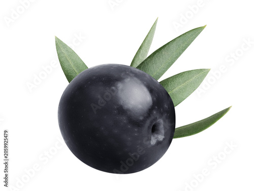 Fresh black olive with leaf isolated on white background. Nutritious ingredient for mediterranean diet, healthy food and delicious oil. Natural beauty product and organic cosmetics.