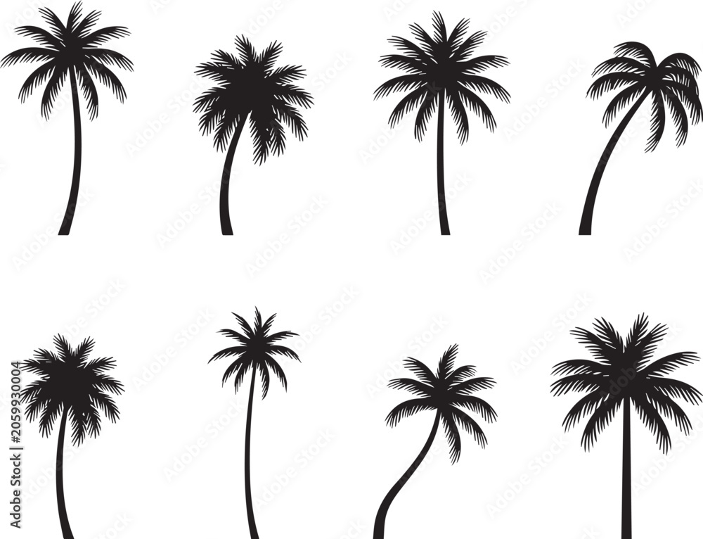 Fototapeta premium Set of tropical palm tree silhouettes vector collection, isolated black coconut trees, exotic summer nature icons on white background