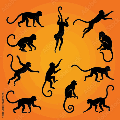 Collection of Dynamic Monkey Silhouettes in Various Poses