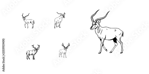 Addax Antelope Outline Twisted Horns Silhouette Vector Icon Pack