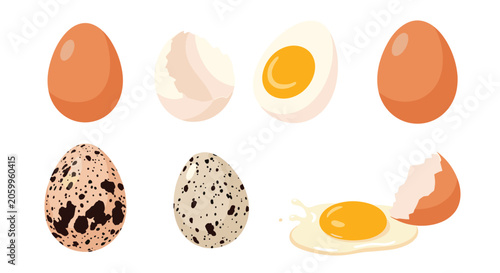 Comprehensive collection of various types of eggs including chicken and quail eggs, shown whole and cracked with a yolk.