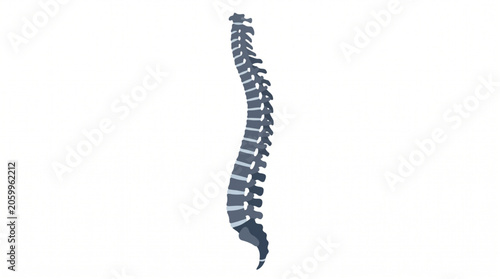 Tableau sur toile human spine