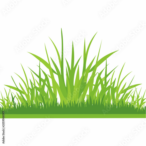 Green Grass Border Illustration