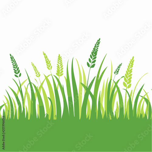 Green Grass and Wheat Field Illustration