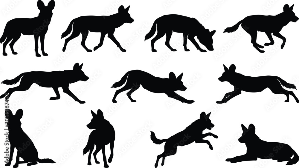 Fototapeta premium African Wild Dog Silhouettes Pack Dynamic Wildlife Vector Collection Isolated on transparent Background