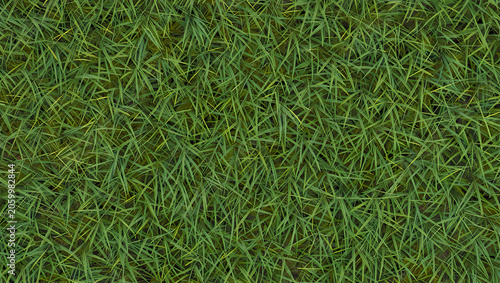 Top View of Dense Vibrant Green Grass Texture Background