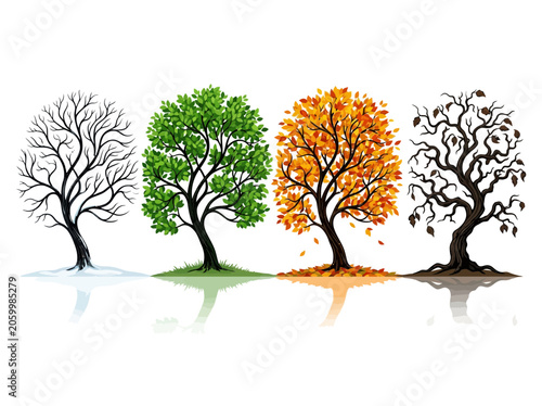Four Trees Illustrating the Four Seasons of Nature
