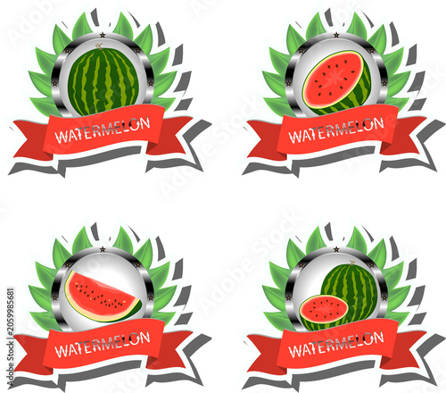 Fruit theme from set juicy delicious watermelon of various sizes