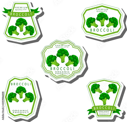 Set tasty natural eco product vegetable broccoli