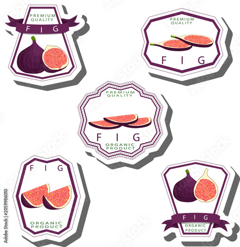 Fruit theme from set juicy delicious fig of various sizes