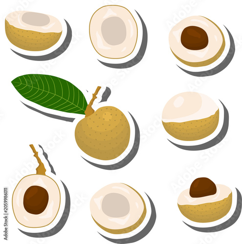 Fruit theme from set juicy delicious longan of various sizes