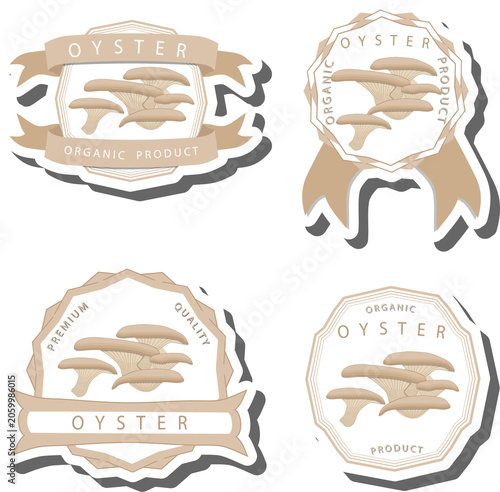 Set sweet juicy tasty natural eco product mushroom oyster