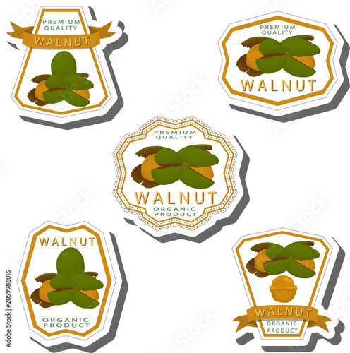 Set tasty natural eco product walnut nut