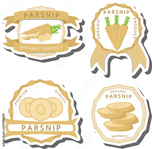 Set tasty natural product vegetable parsnip