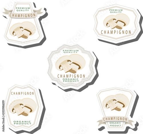 Set sweet tasty natural eco product mushroom champignon
