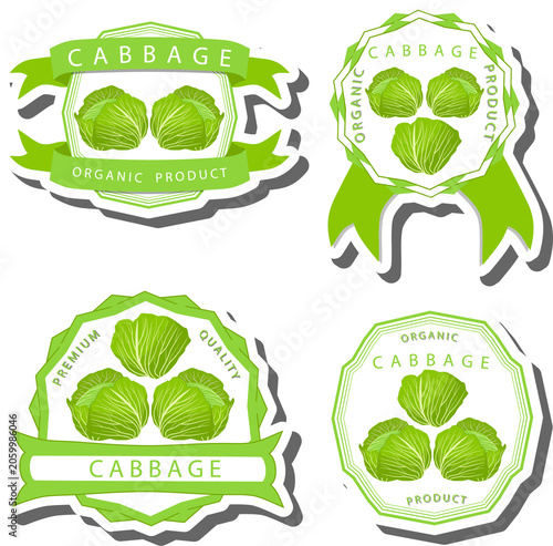 Set tasty natural eco product vegetable cabbage