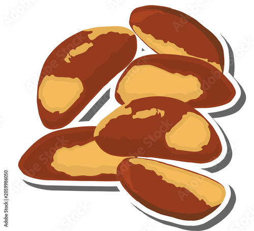 Set tasty natural eco product brazil nut