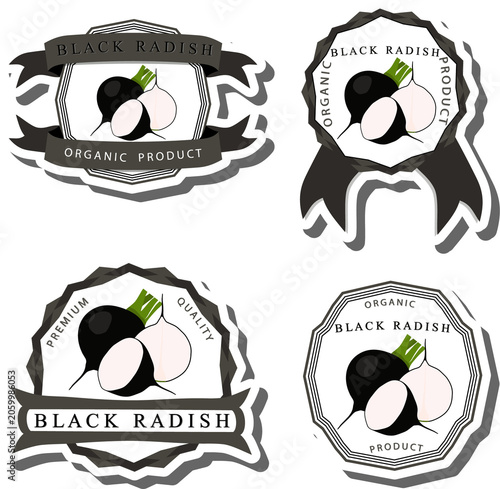 Set tasty natural eco product vegetable radish