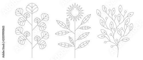 Botanical Line Art Element Set Premium Hand Drawn Sunflower Leaf Branch Kit Minimalist Floral Doodle Silhouette Isolated On White Background Vector