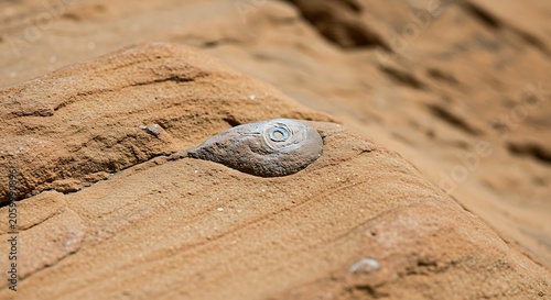 Stone's Eye